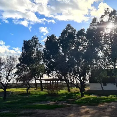 Lo Trabucador * El Poble Nou del Delta